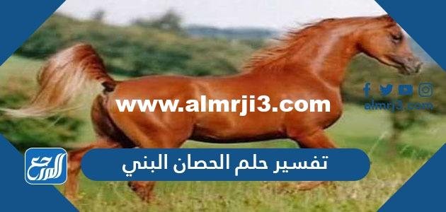 تفسير حلم الحصان البني في المنام للعزباء والمتزوجة والحامل