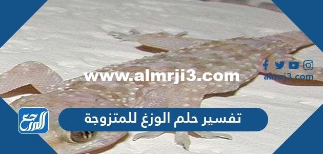 تفسير حلم الوزغ للمتزوجه في المنام لابن سيرين وابن شاهين