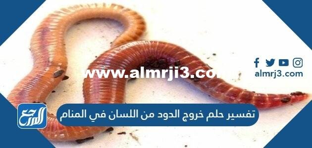 تفسير حلم خروج الدود من اللسان في المنام