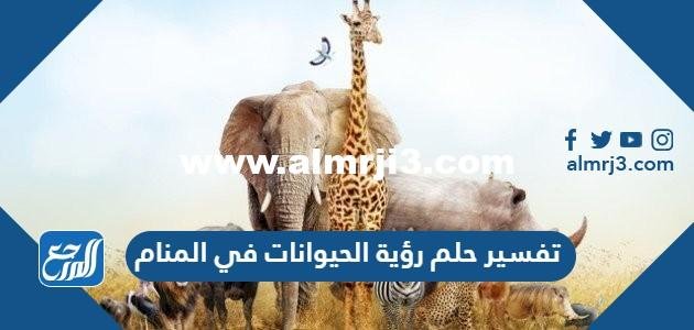 تفسير حلم رؤية الحيوانات في المنام للعزباء والمتزوجة والحامل