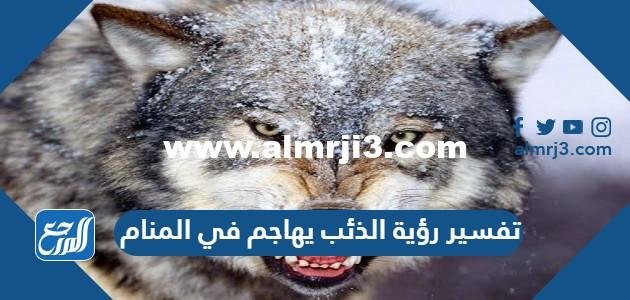 تفسير رؤية الذئب يهاجم في المنام لابن سيرين والنابلسي وابن شاهين
