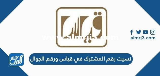 حل مشكلة نسيت رقم المشترك في قياس ورقم الجوال