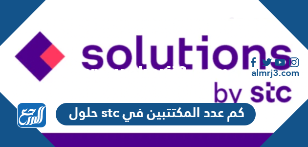 كم عدد المكتتبين في stc حلول