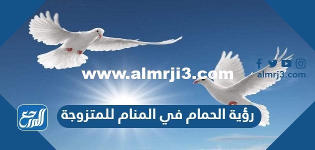 رؤية الحمام في المنام للمتزوجة والعزباء والحامل 2026