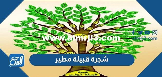 شجرة قبيلة مطير - موقع المرجع