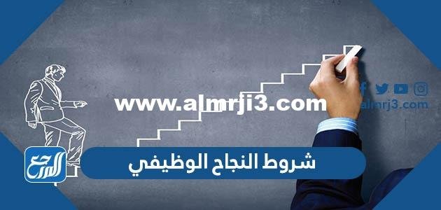 شروط النجاح الوظيفي بخمس خطوات