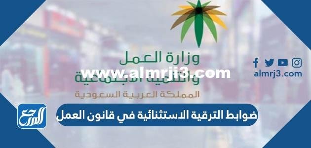 ما هى شروط وضوابط الترقية الاستثنائية في قانون العمل 1446