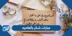 عبارات شكر بالعاميه للأهل والأحباب والأصحاب