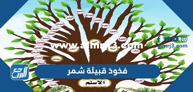 فخوذ قبيلة شمر - موقع المرجع