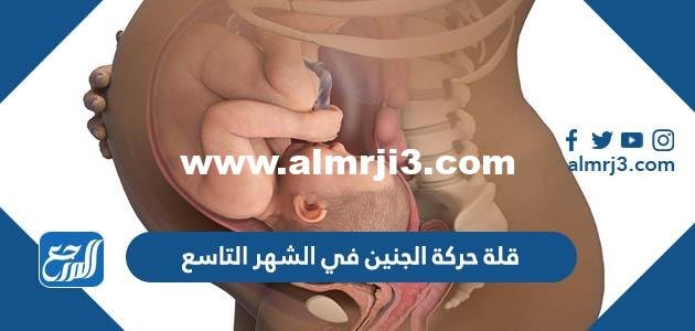 قلة حركة الجنين في الشهر التاسع تجاربكم