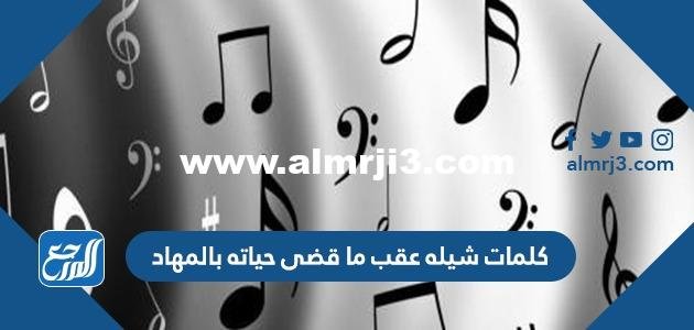 كلمات شيله عقب ما قضى حياته بالمهاد كاملة مكتوبة