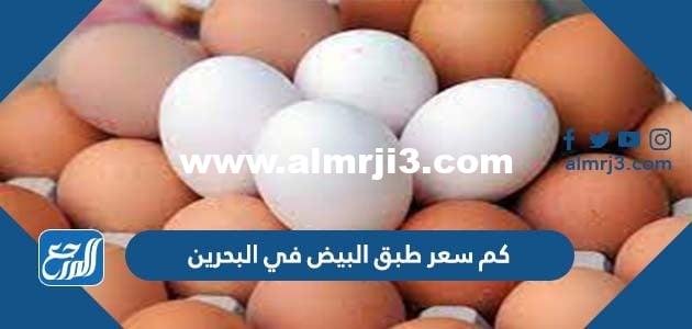 كم سعر طبق البيض في البحرين