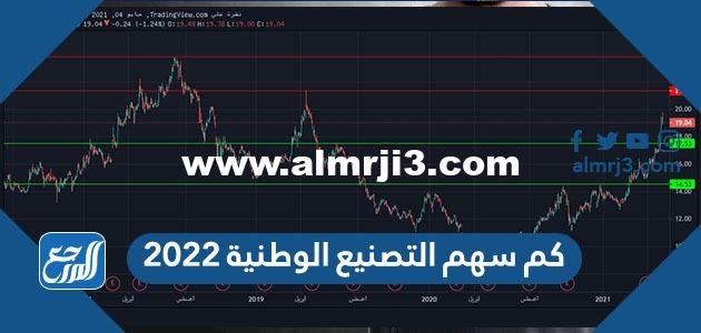 كم سهم التصنيع الوطنية 2022