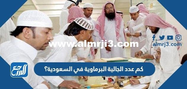 كم عدد الجالية البرماوية في السعودية؟