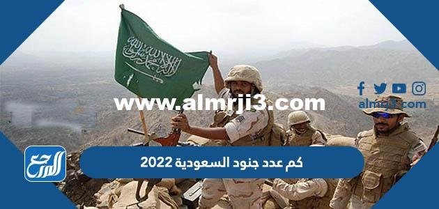 كم عدد جنود السعودية 2024 وما ترتيبه بين جيوش العالم