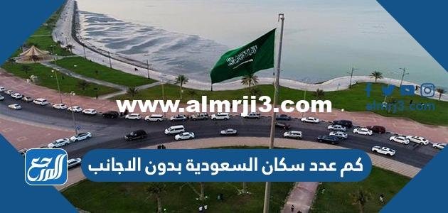 كم عدد سكان السعودية بدون الاجانب 2024