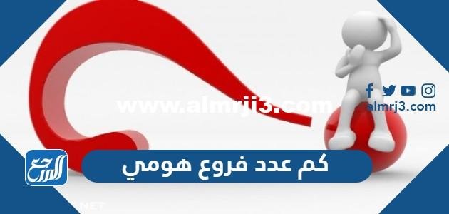 كم عدد فروع هومي – شوف 360 الإخباري 2026