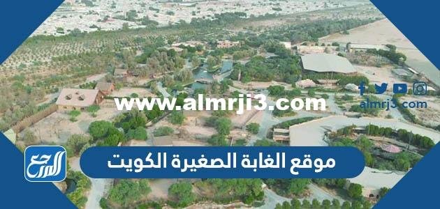 أين موقع الغابة الصغيرة الكويت ومواعيد العمل