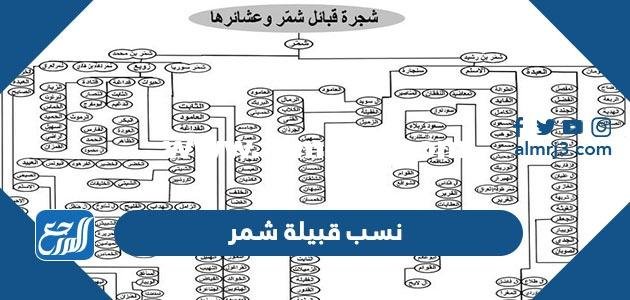 نسب قبيلة شمر وما هي أصولهم